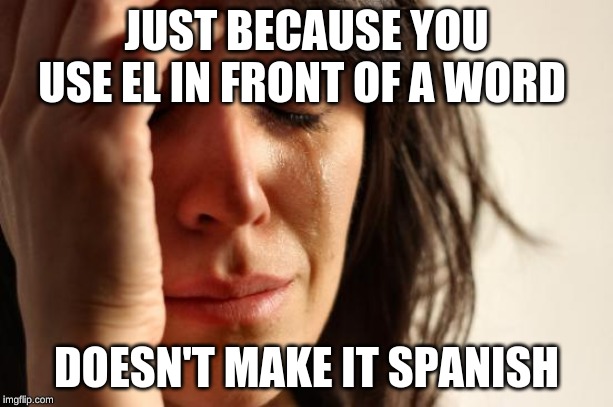 First World Problems | JUST BECAUSE YOU USE EL IN FRONT OF A WORD; DOESN'T MAKE IT SPANISH | image tagged in memes,first world problems | made w/ Imgflip meme maker