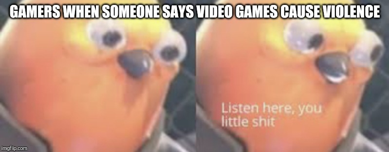 Listen here you little shit bird | GAMERS WHEN SOMEONE SAYS VIDEO GAMES CAUSE VIOLENCE | image tagged in listen here you little shit bird | made w/ Imgflip meme maker