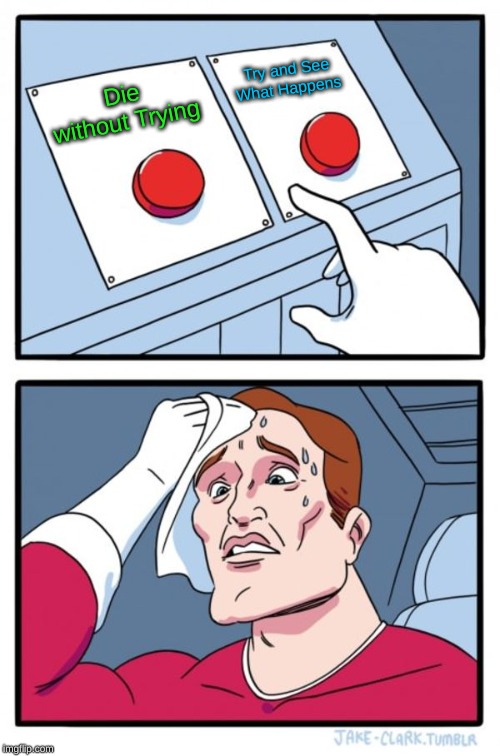 Two Buttons Meme | Try and See What Happens; Die without Trying | image tagged in memes,two buttons | made w/ Imgflip meme maker