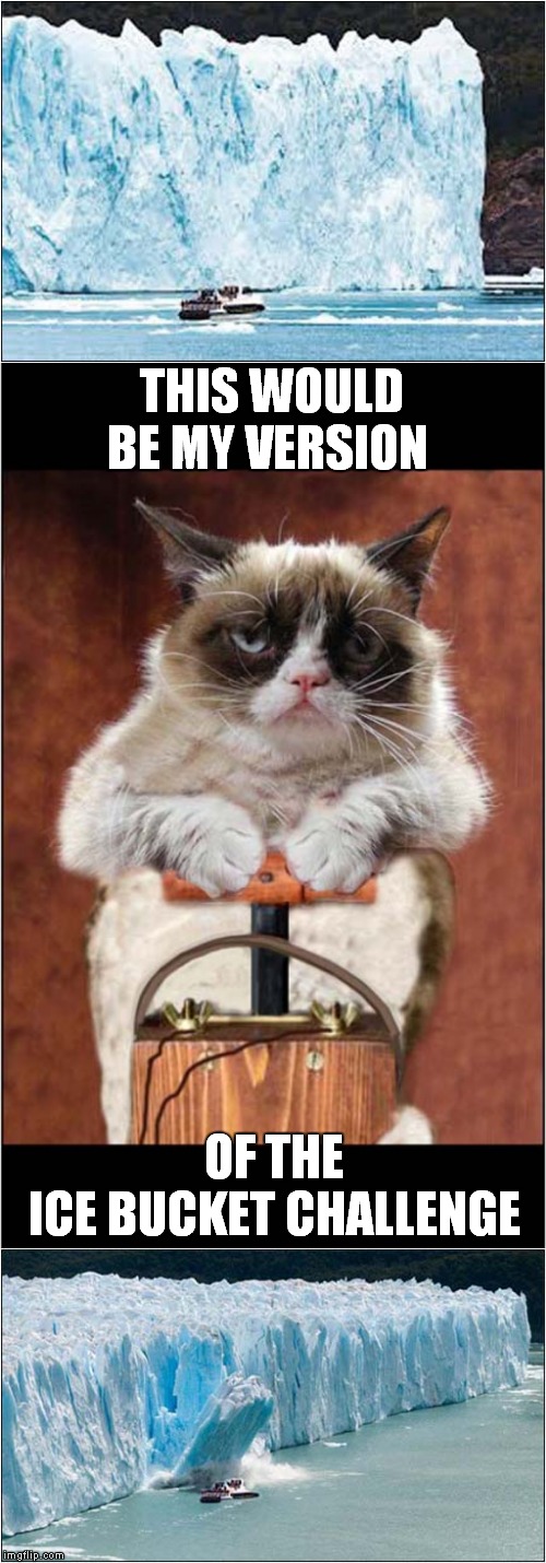 Grumpys Icy Challenge | THIS WOULD BE MY VERSION; OF THE ICE BUCKET CHALLENGE | image tagged in fun,grumpy cat,ice bucket challenge | made w/ Imgflip meme maker