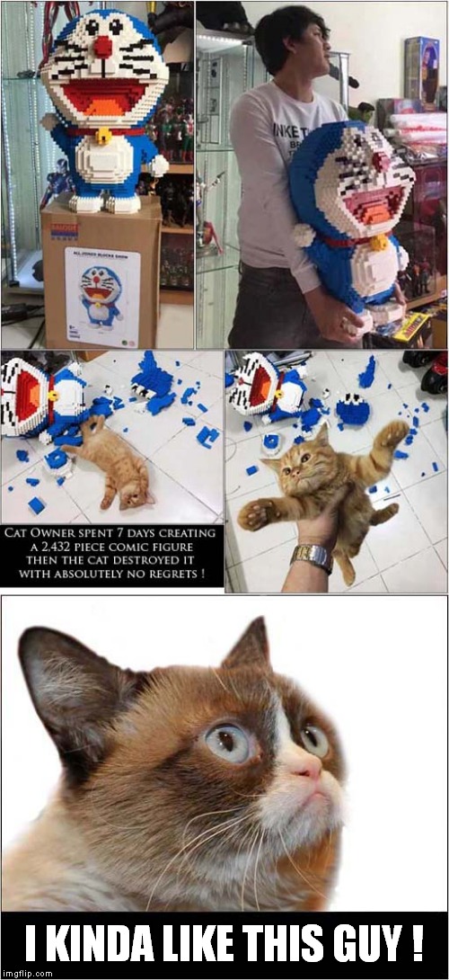 Grumpys Admiration of Destruction | I KINDA LIKE THIS GUY ! | image tagged in fun,grumpy cat,destruction | made w/ Imgflip meme maker