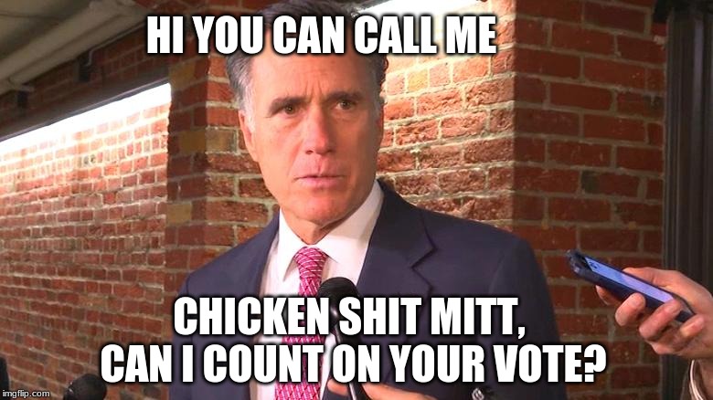 mitt | HI YOU CAN CALL ME; CHICKEN SHIT MITT,
 CAN I COUNT ON YOUR VOTE? | image tagged in mitt | made w/ Imgflip meme maker