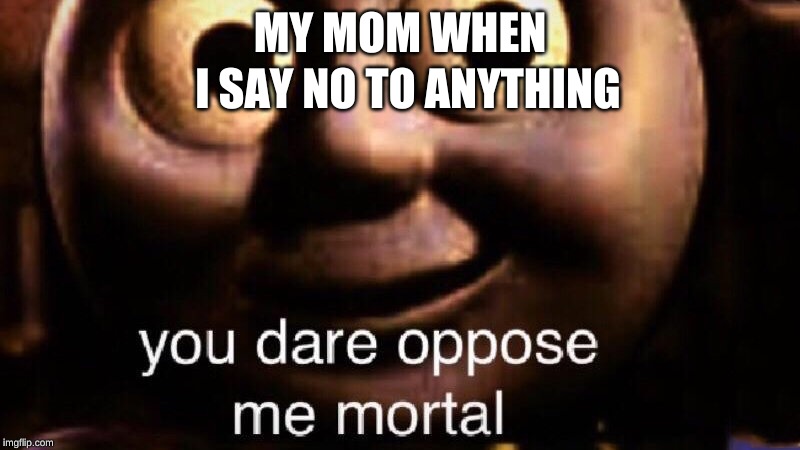 You dare oppose me mortal | I SAY NO TO ANYTHING; MY MOM WHEN | image tagged in you dare oppose me mortal | made w/ Imgflip meme maker