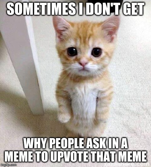Cute Cat | SOMETIMES I DON'T GET; WHY PEOPLE ASK IN A MEME TO UPVOTE THAT MEME | image tagged in memes,cute cat | made w/ Imgflip meme maker