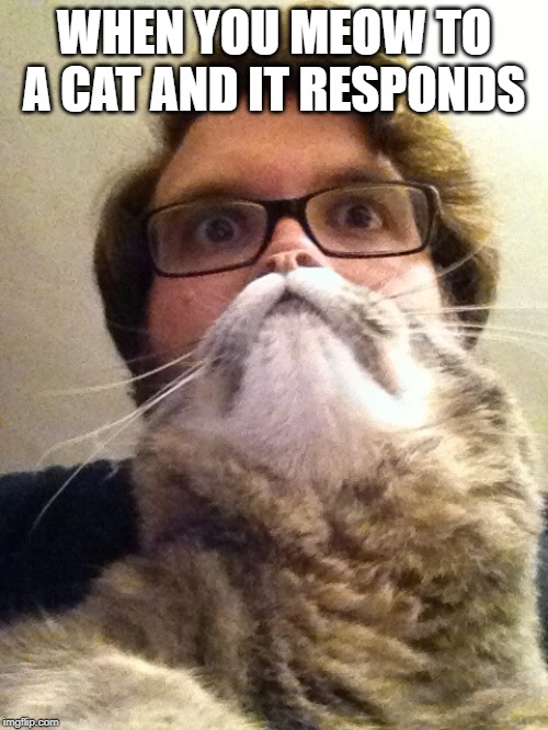 Surprised CatMan |  WHEN YOU MEOW TO A CAT AND IT RESPONDS | image tagged in memes,surprised catman | made w/ Imgflip meme maker