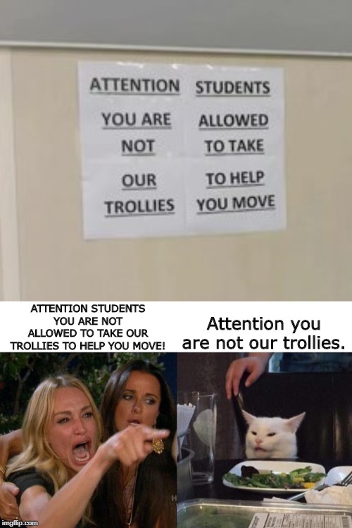Attention, everyone! You are NOT our trollies! Seriously! |  ATTENTION STUDENTS YOU ARE NOT ALLOWED TO TAKE OUR TROLLIES TO HELP YOU MOVE! Attention you are not our trollies. | image tagged in memes,woman yelling at cat,attention,overly trolly troll,move on,not | made w/ Imgflip meme maker