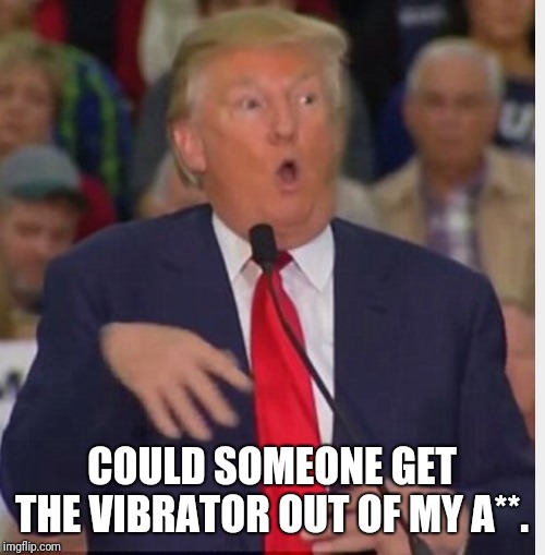 Donald Trump tho | COULD SOMEONE GET THE VIBRATOR OUT OF MY A**. | image tagged in donald trump tho | made w/ Imgflip meme maker