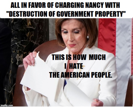 Pelosi shows her racism & hate against the American people | image tagged in republicans,republican party,president trump,sociopath,schizophrenia | made w/ Imgflip meme maker