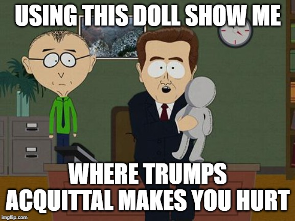 Show me on this doll | USING THIS DOLL SHOW ME; WHERE TRUMPS ACQUITTAL MAKES YOU HURT | image tagged in show me on this doll | made w/ Imgflip meme maker