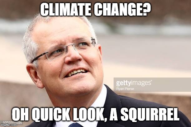 climate denier | CLIMATE CHANGE? OH QUICK LOOK, A SQUIRREL | image tagged in climate change | made w/ Imgflip meme maker