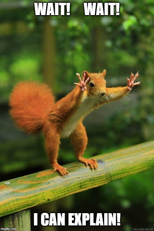 Wait a Minute Squirrel | WAIT!     WAIT! I CAN EXPLAIN! | image tagged in wait a minute squirrel | made w/ Imgflip meme maker