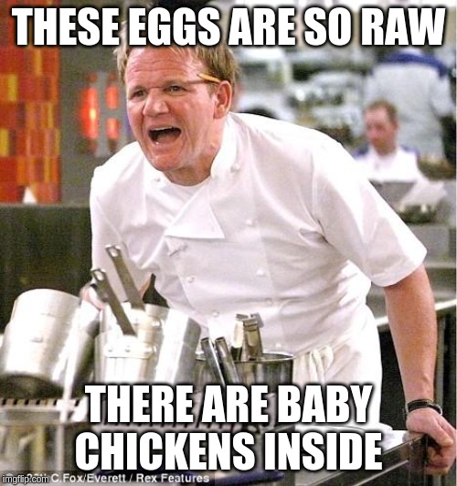 Chef Gordon Ramsay | THESE EGGS ARE SO RAW; THERE ARE BABY CHICKENS INSIDE | image tagged in memes,chef gordon ramsay | made w/ Imgflip meme maker