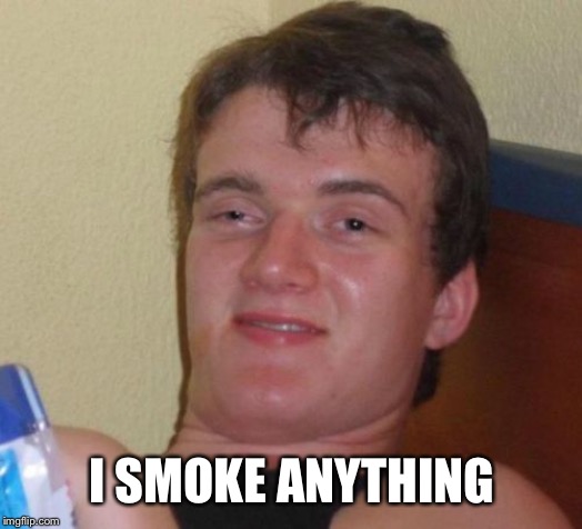 10 Guy Meme | I SMOKE ANYTHING | image tagged in memes,10 guy | made w/ Imgflip meme maker