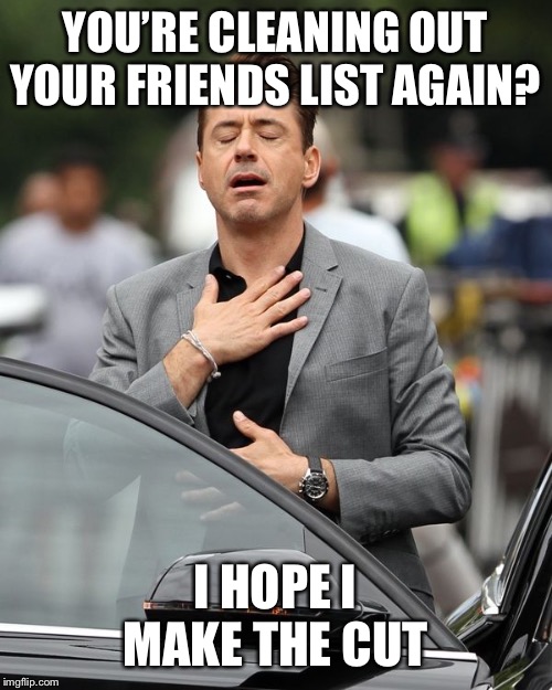 Robert Downey Jr | YOU’RE CLEANING OUT YOUR FRIENDS LIST AGAIN? I HOPE I MAKE THE CUT | image tagged in robert downey jr | made w/ Imgflip meme maker