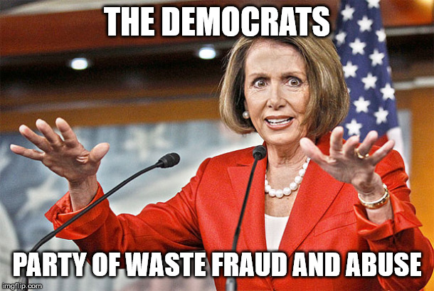 Nancy Pelosi is crazy | THE DEMOCRATS; PARTY OF WASTE FRAUD AND ABUSE | image tagged in nancy pelosi is crazy | made w/ Imgflip meme maker