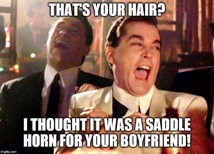 Good Fellas Hilarious Meme | THAT'S YOUR HAIR? I THOUGHT IT WAS A SADDLE HORN FOR YOUR BOYFRIEND! | image tagged in memes,good fellas hilarious | made w/ Imgflip meme maker