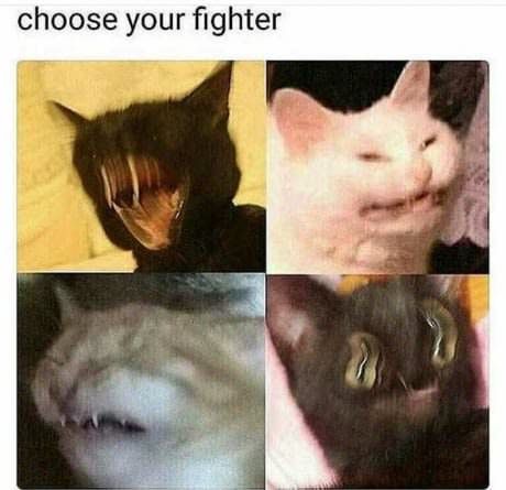 Choose your fighter! Blank Meme Template