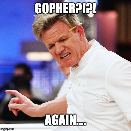 GOPHER?!?! AGAIN.... | made w/ Imgflip meme maker