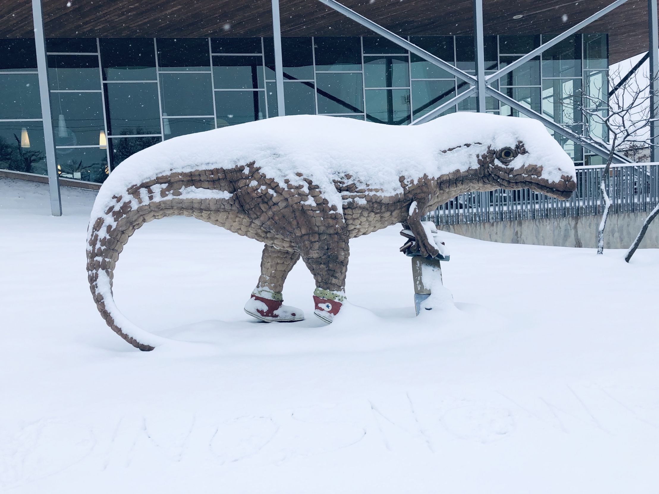 Dinosnowr Blank Meme Template