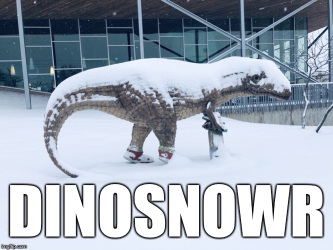Dinosnowr | DINOSNOWR | image tagged in dinosnowr | made w/ Imgflip meme maker