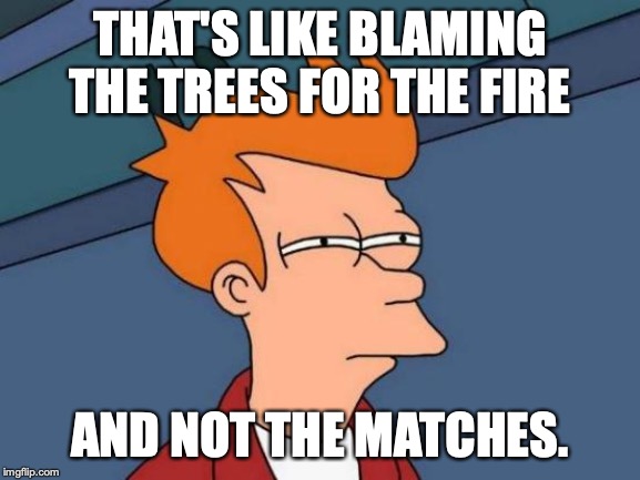 Futurama Fry Meme | THAT'S LIKE BLAMING THE TREES FOR THE FIRE AND NOT THE MATCHES. | image tagged in memes,futurama fry | made w/ Imgflip meme maker
