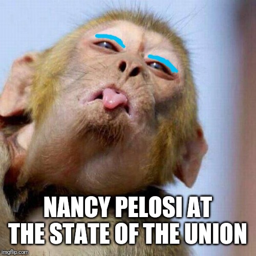 NANCY PELOSI AT THE STATE OF THE UNION | image tagged in politics | made w/ Imgflip meme maker