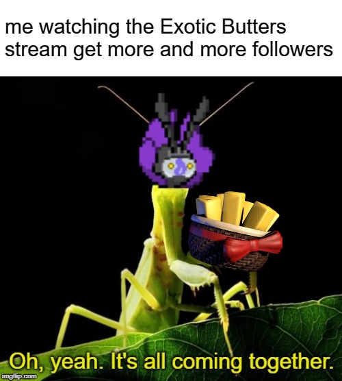 I didn't make this stream but it's nice to see it starting to blossom somewhat | me watching the Exotic Butters stream get more and more followers | image tagged in cutbug it's all coming together,memes,exotic butters | made w/ Imgflip meme maker