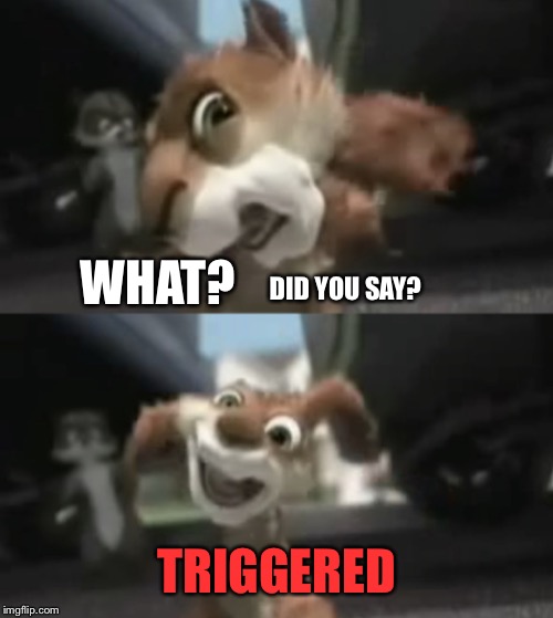 Rabid squirrel | WHAT? TRIGGERED DID YOU SAY? | image tagged in rabid squirrel | made w/ Imgflip meme maker