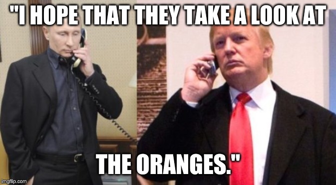 Trump Putin phone call | "I HOPE THAT THEY TAKE A LOOK AT; THE ORANGES." | image tagged in trump putin phone call | made w/ Imgflip meme maker