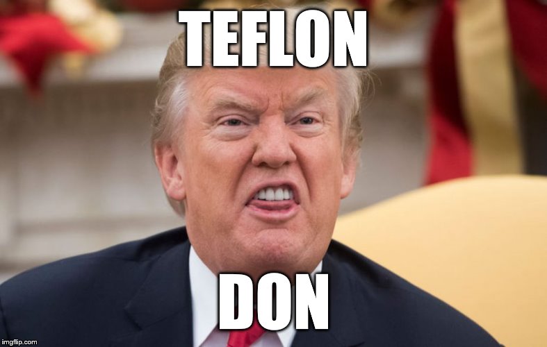 TEFLON; DON | image tagged in donald trump,teflon don,mafia | made w/ Imgflip meme maker