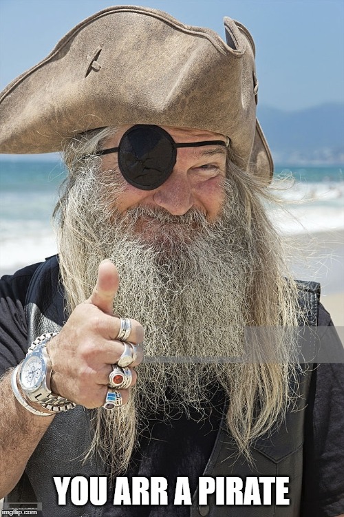 PIRATE THUMBS UP | YOU ARR A PIRATE | image tagged in pirate thumbs up | made w/ Imgflip meme maker