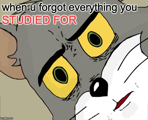 Unsettled Tom Meme | when u forgot everything you; STUDIED FOR | image tagged in memes,unsettled tom | made w/ Imgflip meme maker