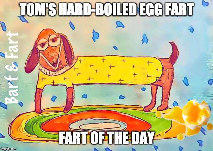 Tom's Hard-Boiled Egg Fart | TOM'S HARD-BOILED EGG FART; FART OF THE DAY | image tagged in egg,fart,tom,barf and fart | made w/ Imgflip meme maker