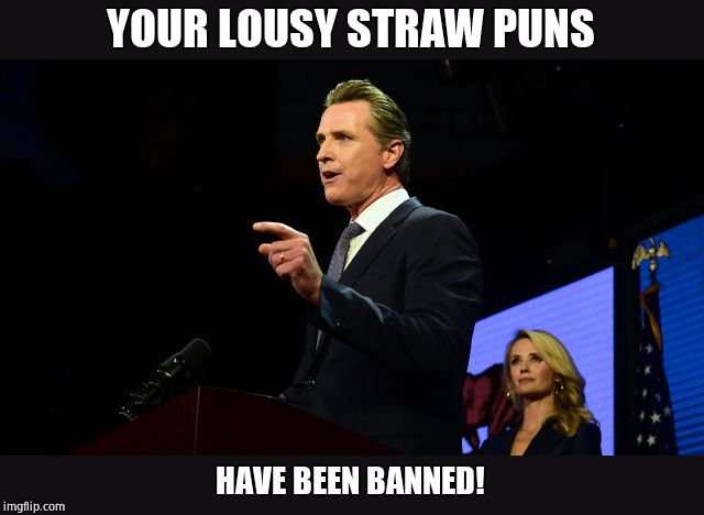 Gavin Newsom | YOUR LOUSY STRAW PUNS HAVE BEEN BANNED! | image tagged in gavin newsom | made w/ Imgflip meme maker