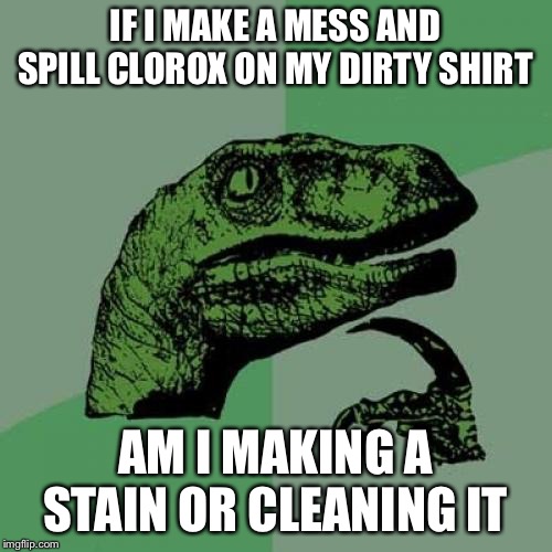 Philosoraptor Meme | IF I MAKE A MESS AND SPILL CLOROX ON MY DIRTY SHIRT; AM I MAKING A STAIN OR CLEANING IT | image tagged in memes,philosoraptor | made w/ Imgflip meme maker