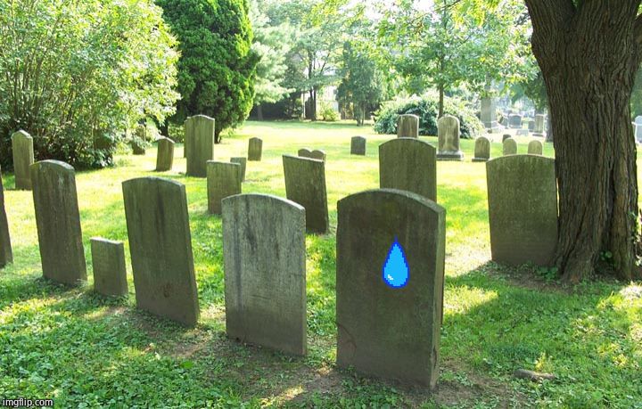 Cemetery | image tagged in cemetery | made w/ Imgflip meme maker