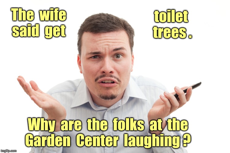 Ok--I need some help here ... | The  wife
said  get; toilet  trees . Why  are  the  folks  at  the
Garden  Center  laughing ? | image tagged in confused white guy with phone,trees,potty humor,rick75230,memes | made w/ Imgflip meme maker