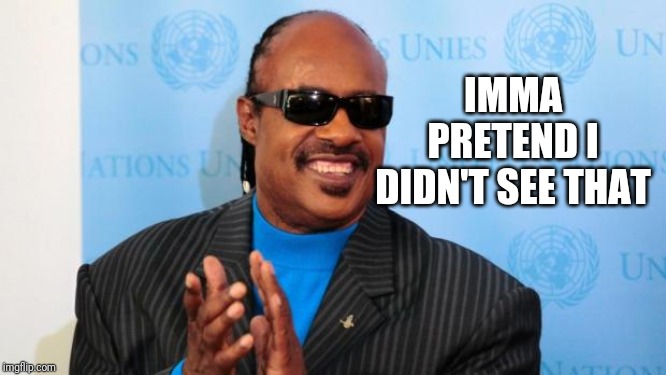 stevie wonder | IMMA PRETEND I DIDN'T SEE THAT | image tagged in stevie wonder | made w/ Imgflip meme maker