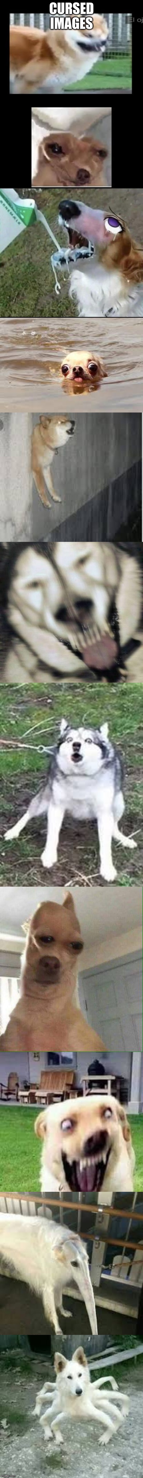 CURSED IMAGES | made w/ Imgflip meme maker