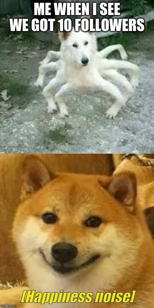 ME WHEN I SEE WE GOT 10 FOLLOWERS | image tagged in shibe | made w/ Imgflip meme maker