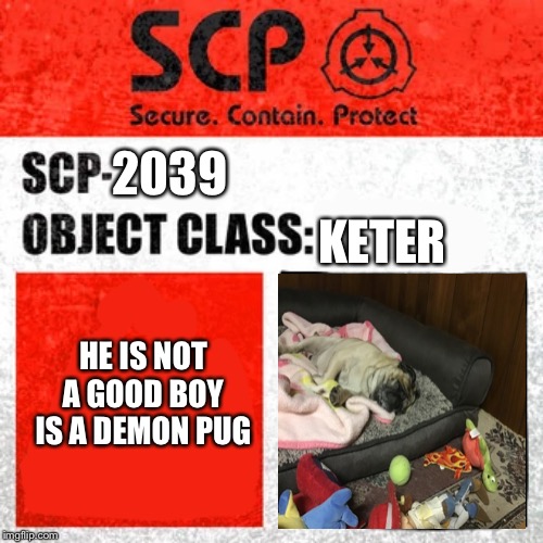 Scp 2039 | 2039; KETER; HE IS NOT A GOOD BOY IS A DEMON PUG | image tagged in scp label template keter | made w/ Imgflip meme maker