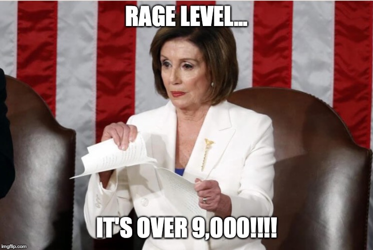 It's over 9,000 | RAGE LEVEL... IT'S OVER 9,000!!!! | image tagged in nancy pelosi | made w/ Imgflip meme maker