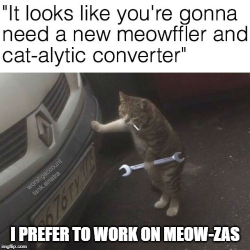 cat mechanic | I PREFER TO WORK ON MEOW-ZAS | image tagged in meow-za,cat puns | made w/ Imgflip meme maker
