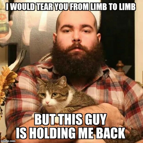 Hold me back Mittens, hold me back | image tagged in cat humor,hold me back,bad guy | made w/ Imgflip meme maker