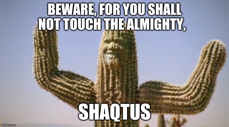Shaqtus | BEWARE, FOR YOU SHALL NOT TOUCH THE ALMIGHTY, SHAQTUS | image tagged in shaqtus | made w/ Imgflip meme maker