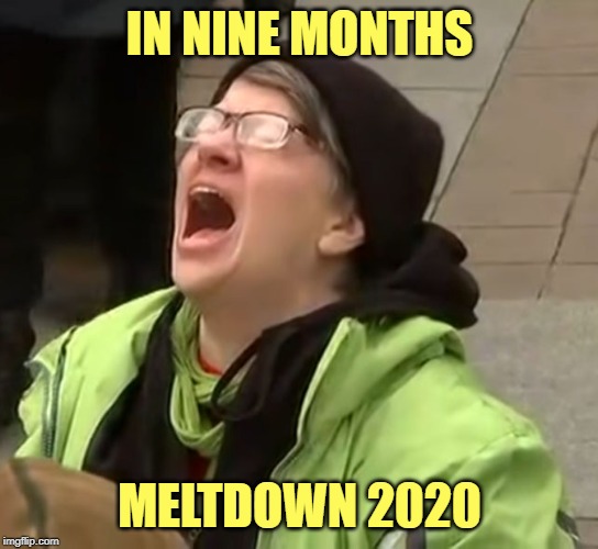 snowflake | IN NINE MONTHS MELTDOWN 2020 | image tagged in snowflake | made w/ Imgflip meme maker