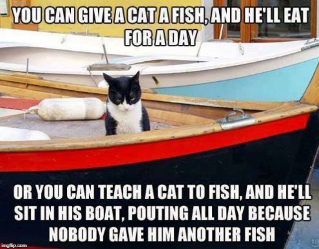 cat fish | image tagged in catfish,fishing,cat humor | made w/ Imgflip meme maker