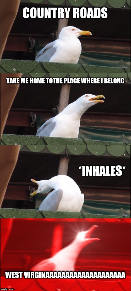 Inhaling Seagull | COUNTRY ROADS; TAKE ME HOME TOTHE PLACE WHERE I BELONG; *INHALES*; WEST VIRGINAAAAAAAAAAAAAAAAAAAA | image tagged in memes,inhaling seagull | made w/ Imgflip meme maker