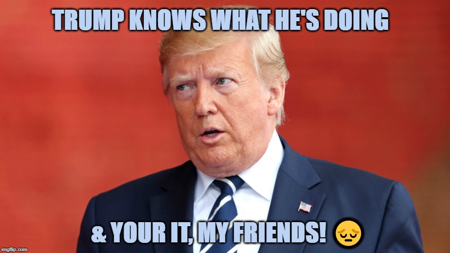 Trump... Duh?! | TRUMP KNOWS WHAT HE'S DOING; & YOUR IT, MY FRIENDS! 😔 | image tagged in trump duh | made w/ Imgflip meme maker