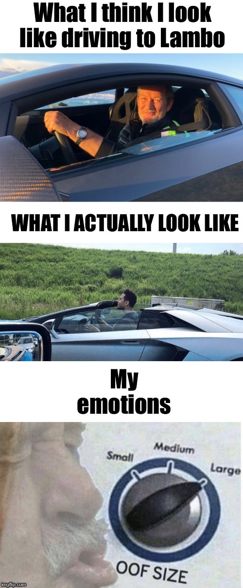 Well, I’m too tall to hitch a Lambo ride :’( | What I think I look like driving to Lambo; WHAT I ACTUALLY LOOK LIKE; My emotions | image tagged in oof size large,lamborghini,memes,funny memes,funny,cars | made w/ Imgflip meme maker